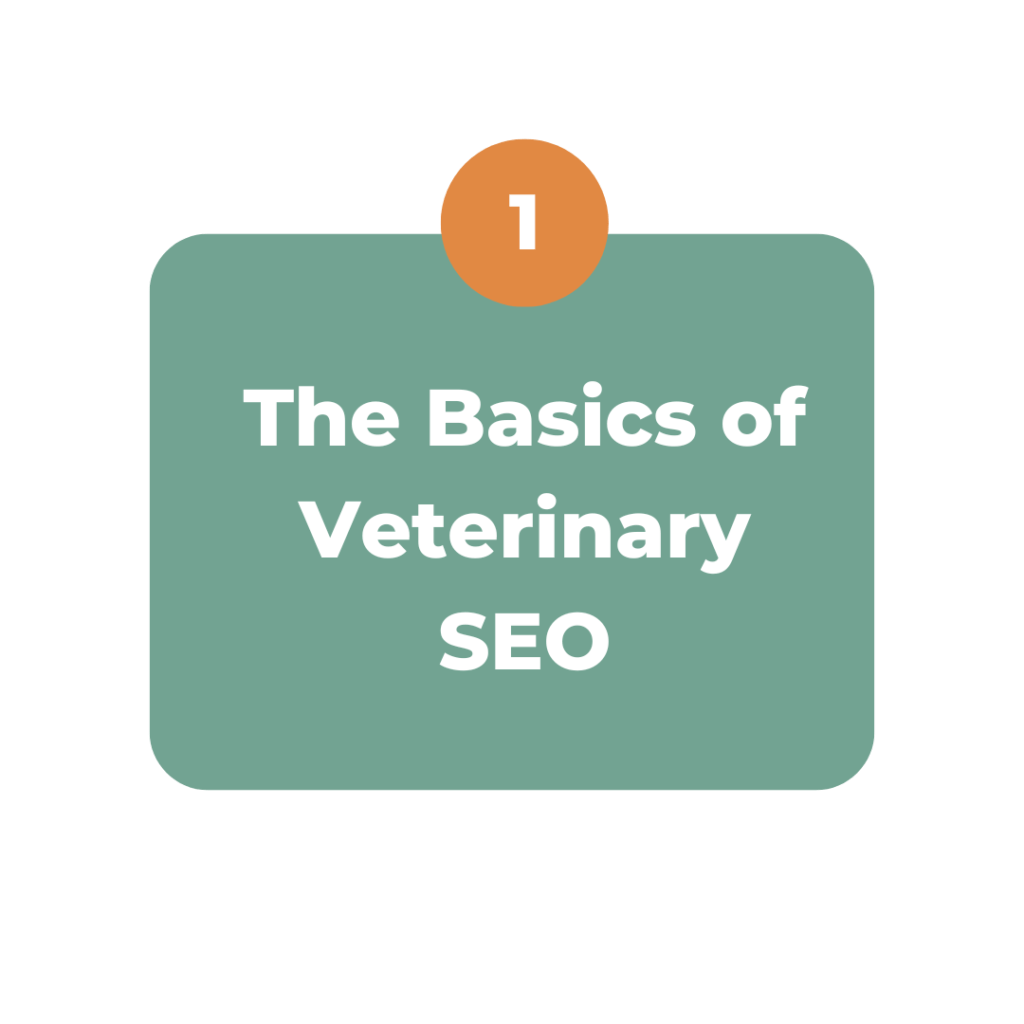 The Basics of Veterinary SEO