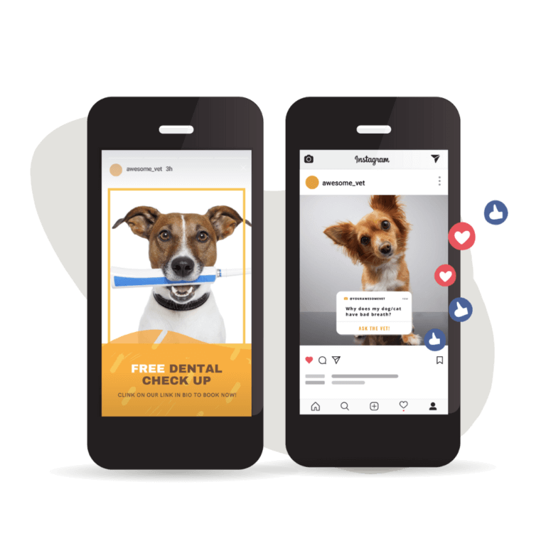 veterinary social media services