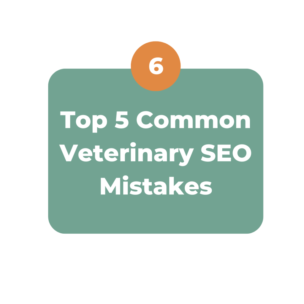 common veterinary seo mistakes