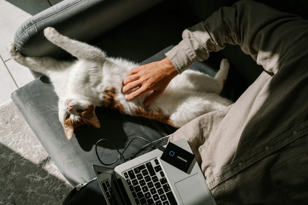 marketing for veterinarians
