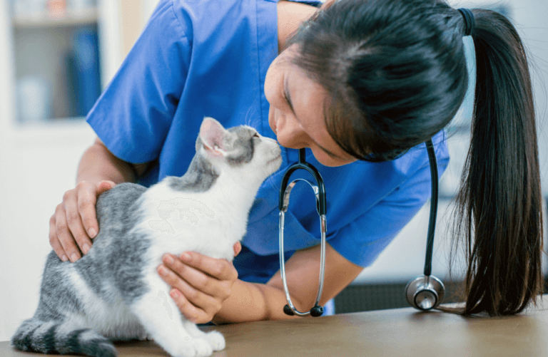 veterinary social media