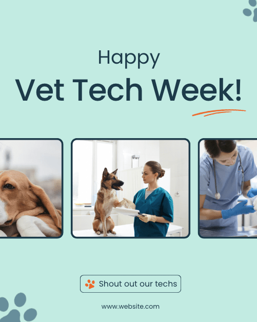 Screenshot 2025-10-01 at 4.38.23 PM