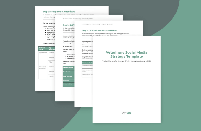 Free 2024 Veterinary Social Media Strategy Template