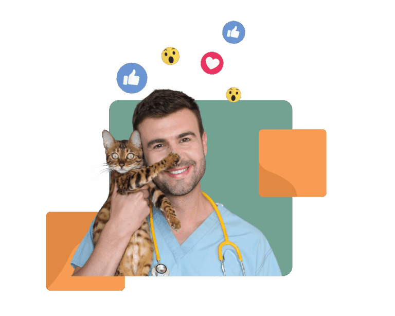 digital marketing for veterinarians