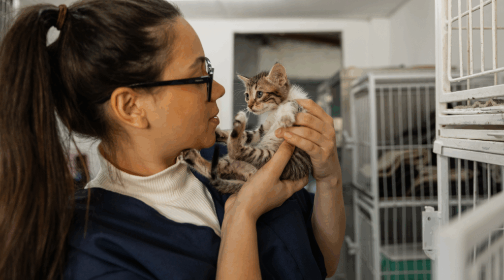 veterinary advertising