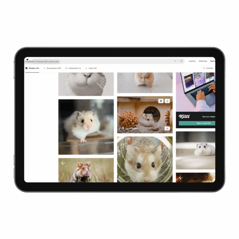 unsplash veterinary social media resources