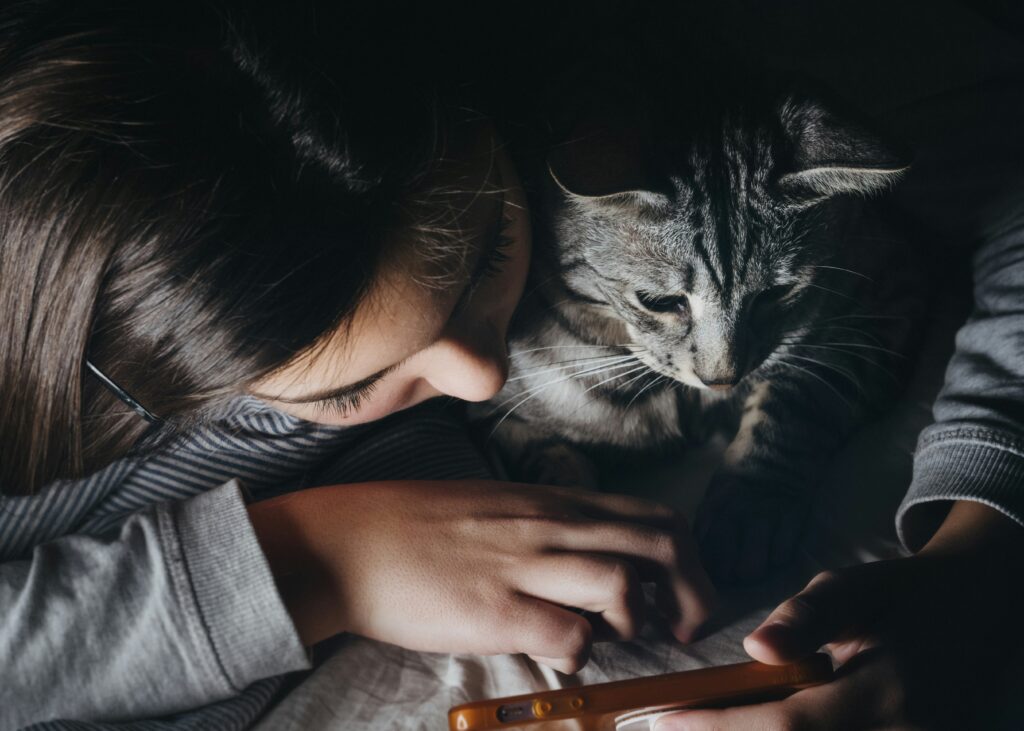 facebook ads for veterinarians